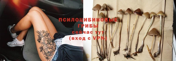 спиды Алексин