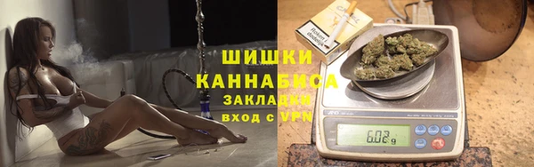 индика Абаза