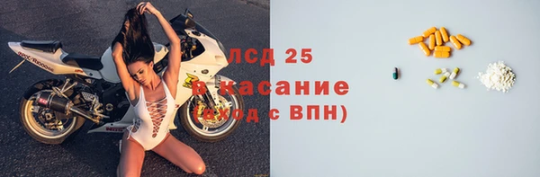 ECSTASY Алзамай