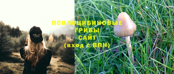 ECSTASY Алзамай